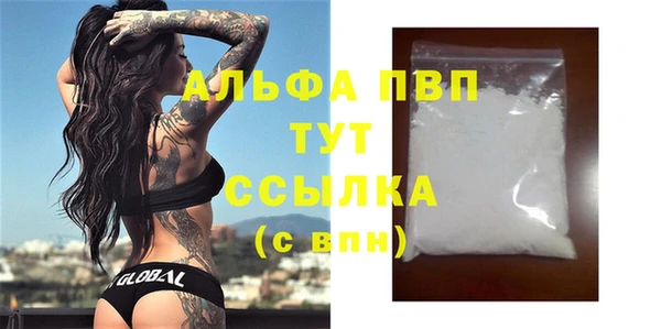 spice Бородино