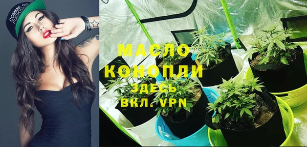 spice Бородино