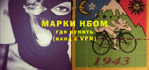 spice Бородино