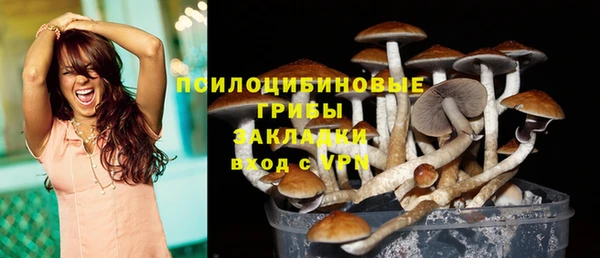 спиды Волосово