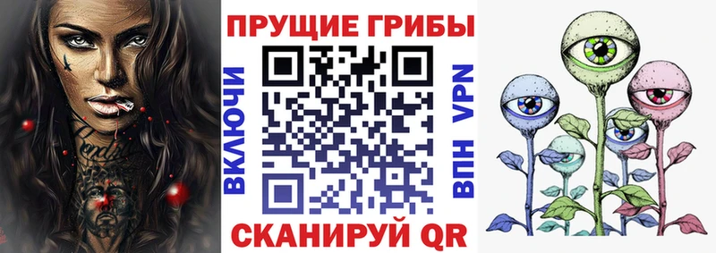 Галлюциногенные грибы Magic Shrooms  Вязники 